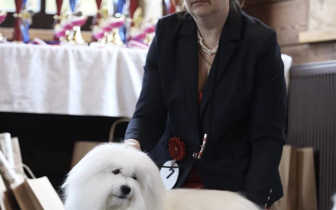 XXXV CLUB SHOW Coton de Tulear