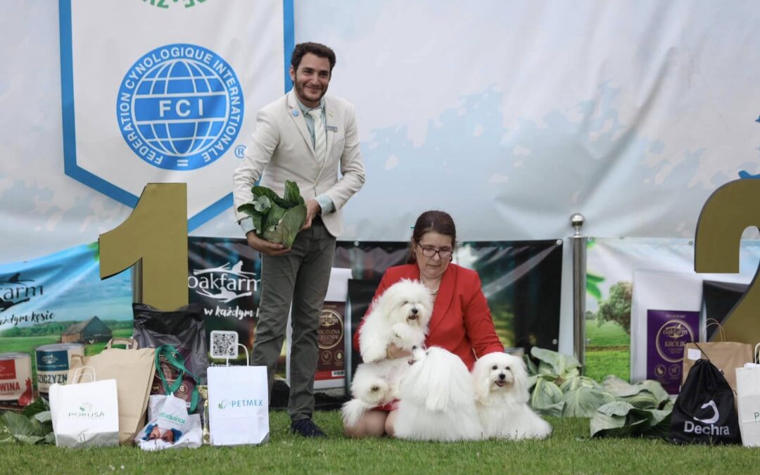 NDS Wieliczka 14.07.2024