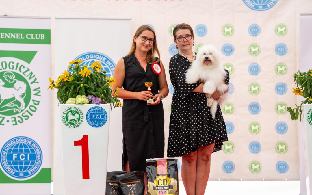 NDS 24.08.2024 & CACIB 25.08.2024 Rybnik