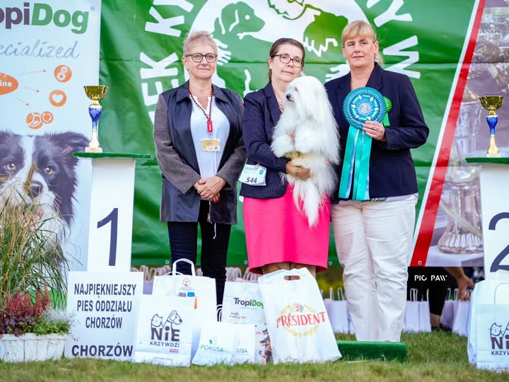 22.09.2024 NDS Chorzów