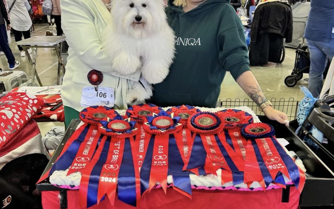 𝗘𝗨𝗥𝗢𝗣𝗔 𝗗𝗢𝗚 𝗦𝗛𝗢𝗪 𝗦𝗟𝗢𝗩𝗘𝗡𝗜𝗝𝗘 𝟮𝟬𝟮𝟰