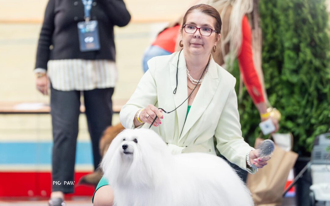 NDS Piaseczno 27.10.2024