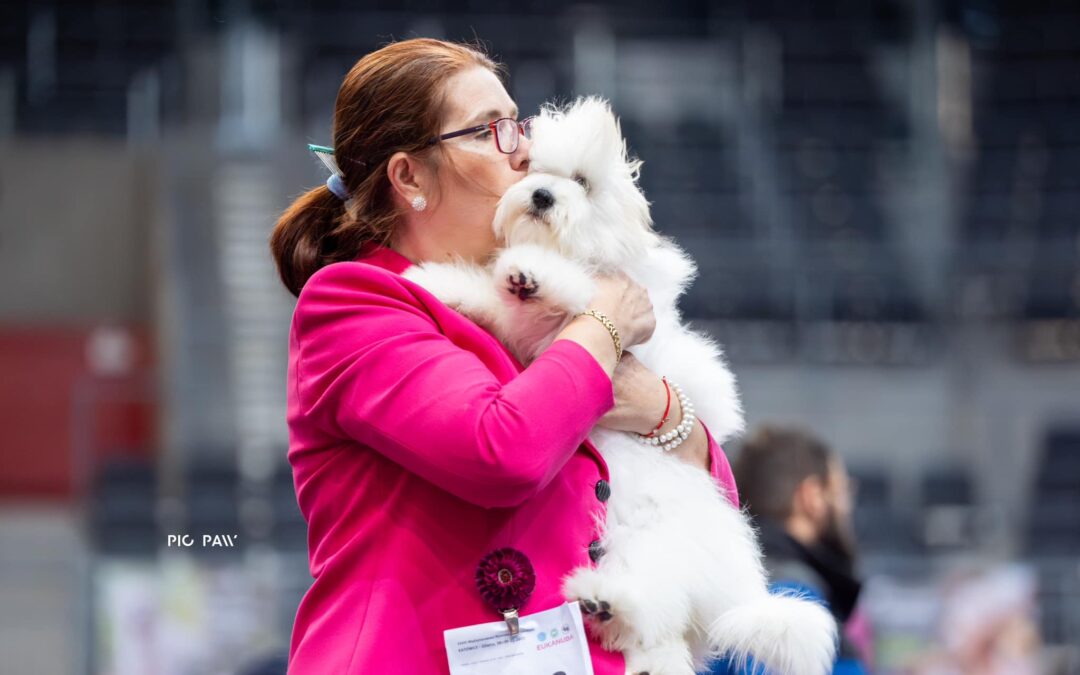 IDS Katowice 8.02.2025