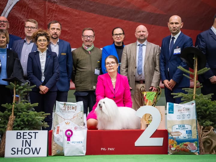 IDS 1.12.2024 Kielce