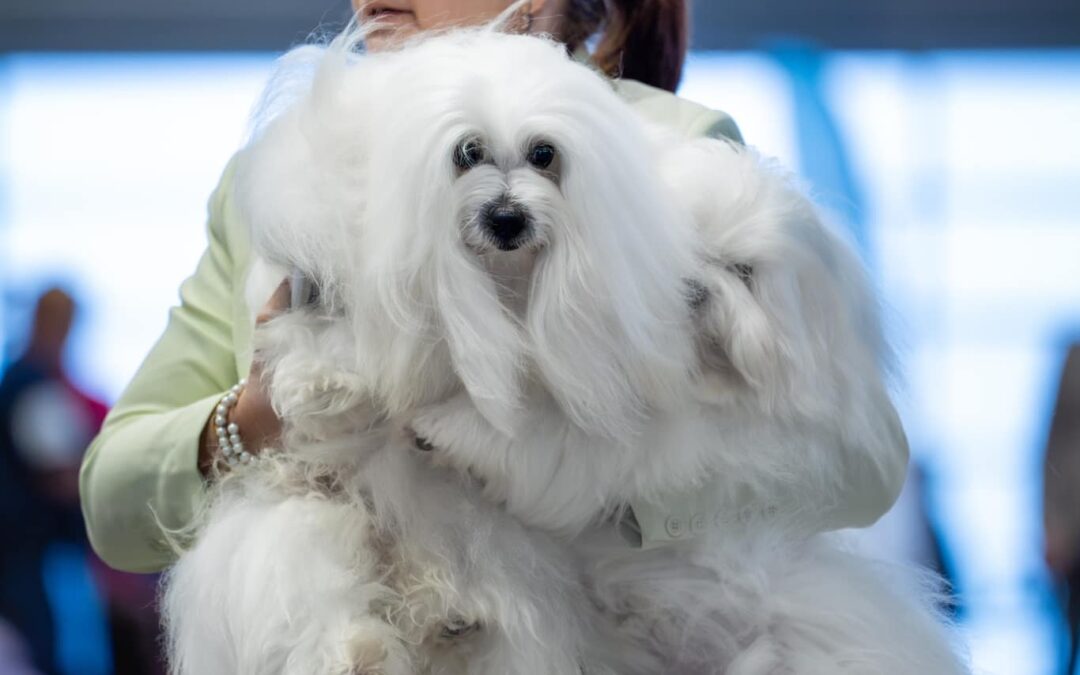 IDS Poznań 9.11.2024