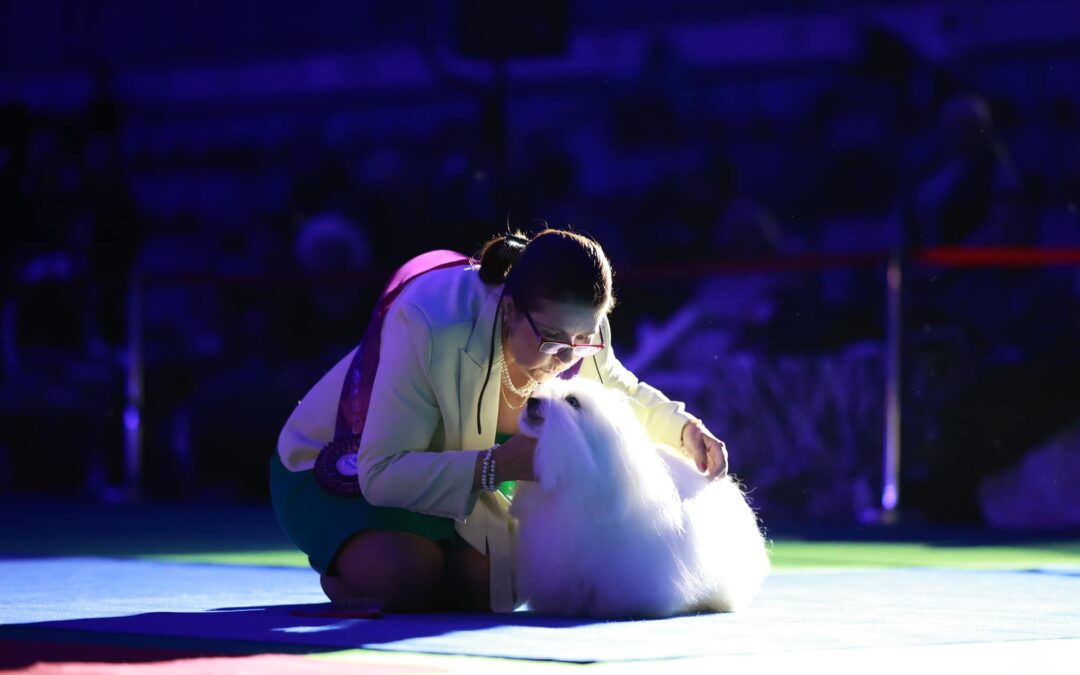 CHAMPION OF CHAMPION SHOW 2024 Poland