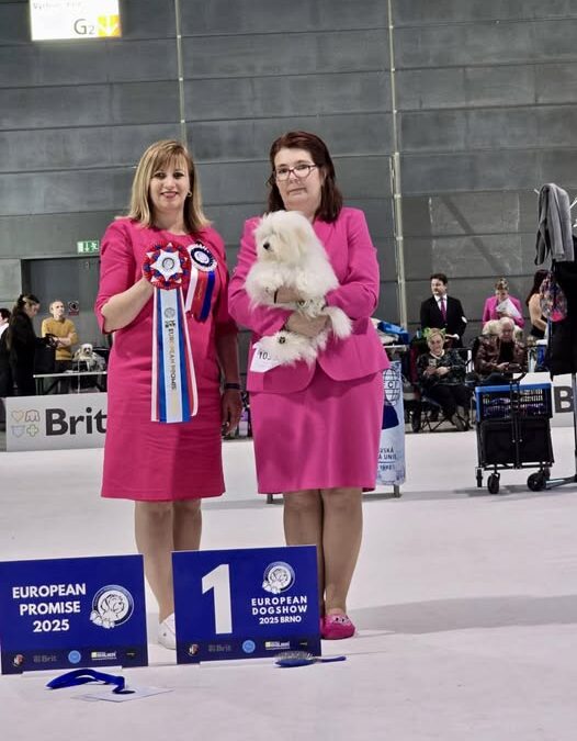 𝙀𝙐𝙍𝙊𝙍𝙊𝙋𝙀𝘼𝙉 𝘿𝙊𝙂 𝙎𝙃𝙊𝙒 𝘽𝙍𝙉𝙊 𝟮𝟬𝟮𝟱