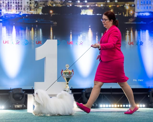 𝙎𝙡𝙤𝙫𝙖𝙠𝙞𝙖 𝙒𝙞𝙣𝙣𝙚𝙧 𝙎𝙝𝙤𝙬 𝟮𝟴.𝟬𝟮.𝟮𝟬𝟮𝟱