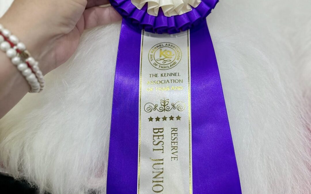 𝘐𝘋𝘚 𝘉𝘢𝘯𝘨𝘬𝘰𝘬 𝘛𝘩𝘢𝘪𝘭𝘢𝘯𝘥 𝟤𝟫.𝟢𝟨.𝟤𝟢𝟤𝟧