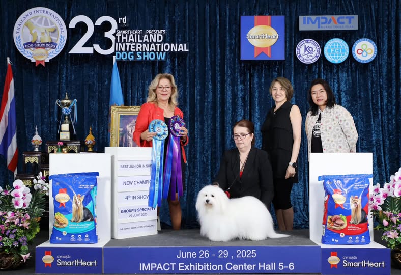 𝙎𝙥𝙚𝙘𝙞𝙖𝙡𝙩𝙮 𝘿𝙤𝙜 𝙎𝙝𝙤𝙬 𝙛𝙤𝙧 𝙁𝘾𝙄 𝙂𝙧𝙤𝙪𝙥 𝟵 𝘉𝘢𝘯𝘨𝘬𝘰𝘬 𝘛𝘩𝘢𝘪𝘭𝘢𝘯𝘥