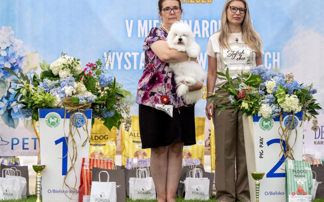 𝘐𝘯𝘵𝘦𝘳𝘯𝘢𝘵𝘪𝘰𝘯𝘢𝘭 𝘋𝘰𝘨 𝘚𝘩𝘰𝘸 𝟧.𝟢𝟩.𝟤𝟢𝟤𝟧 𝘞𝘪𝘴ł𝘢