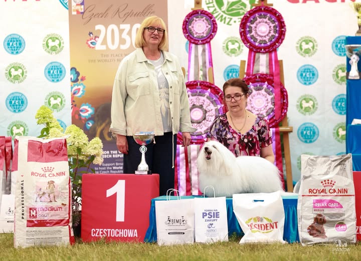 IDS Częstochowa 20.07.2025