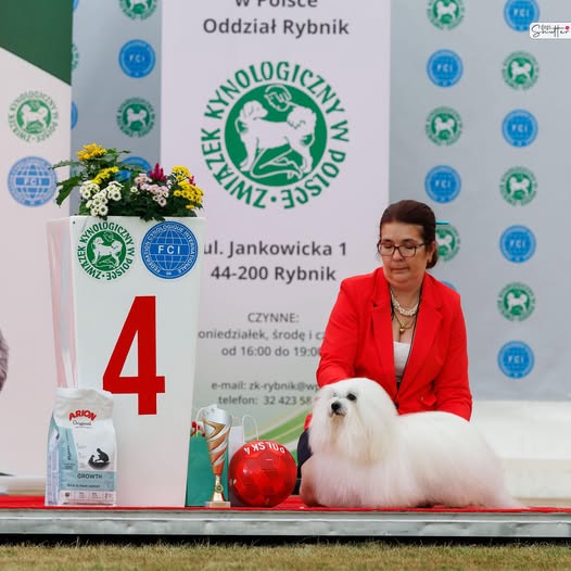 Poland Winner Show  31.08.2025